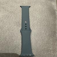 Cinturino Apple Watch
