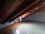 Immagine 28
