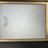 Apple ipad a1954- 4g 128gb grigio