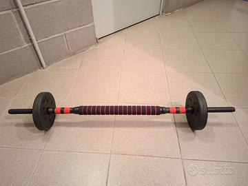 SET DI MANUBRI 2 IN 1, 30 KG
