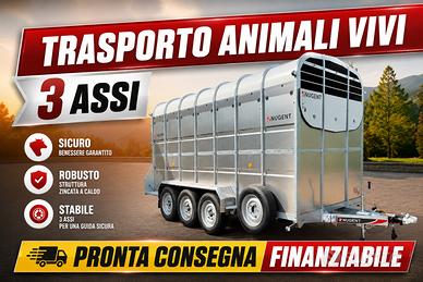 Trailer rimorchio trasporto animali Nugent 3 assi
