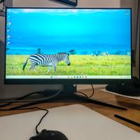 Monitor PC Msi Optix G241