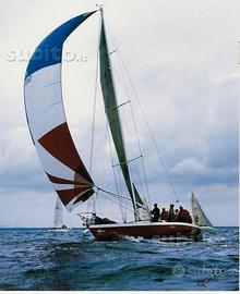 Prima classe IOR 37' Vallicelli