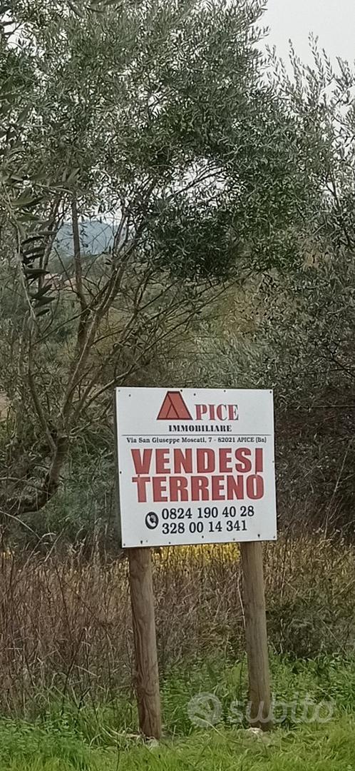 Terreno 5000 mq - Vista 4