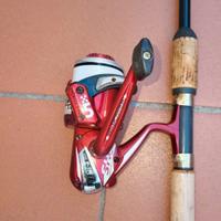 Canna da pesca all'inglese Colmic Artax 100x 