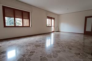 Appartamento 5 vani (NO AGENZIA)