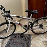 Bicicletta Frejus da 24 pollici