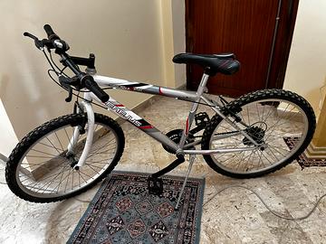 Bicicletta Frejus da 24 pollici