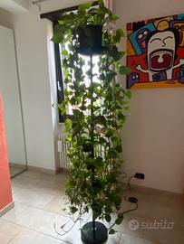 Lampada a piantana porta vasi e piante