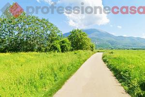 Terreno Agricolo Aquino [Cod. rif 3292537VCG]