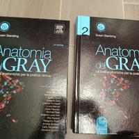 Anatomia del Gray Elviser