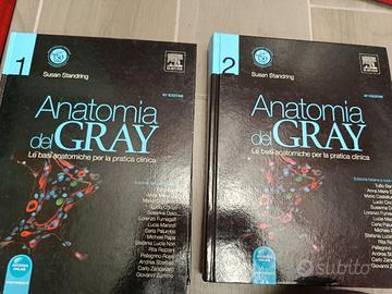 Anatomia del Gray Elviser