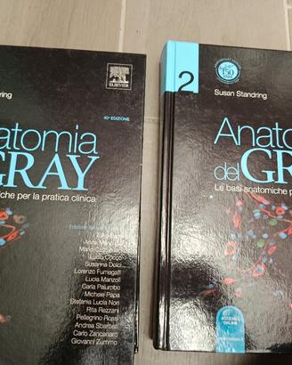 Anatomia del Gray Elviser