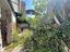 Immagine 22
