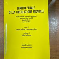 Diritto penale della circolazione stradale Cedam