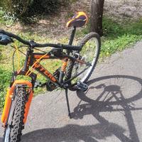 bicicletta 