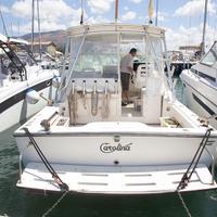 Barca Carolina Classic 28