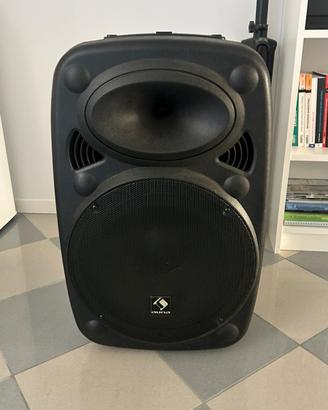 Cassa musicale con asta e microfoni