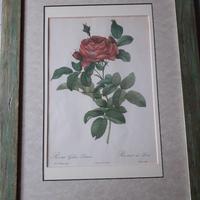 Stampe inizio 900 con cornice