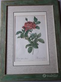 Stampe inizio 900 con cornice