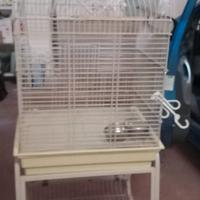 Gabbia per pappagalli