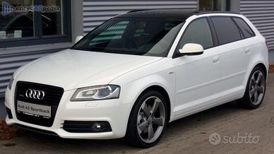 C.e.r.c.o pezzi Audi a3 8p