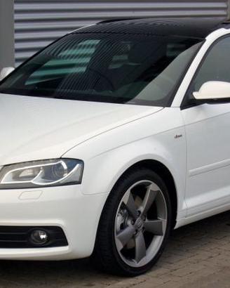 C.e.r.c.o pezzi Audi a3 8p