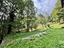 Immagine 28