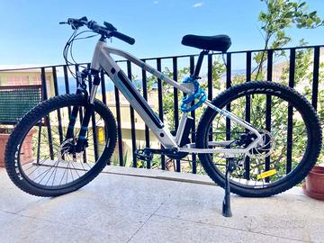 Bicicletta a pedalata assistita