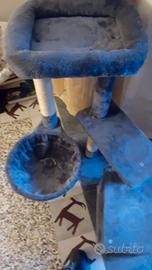 Tiragraffi ,nanna e gioco gatti