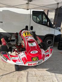 kart completo birel s16 tm kz10c