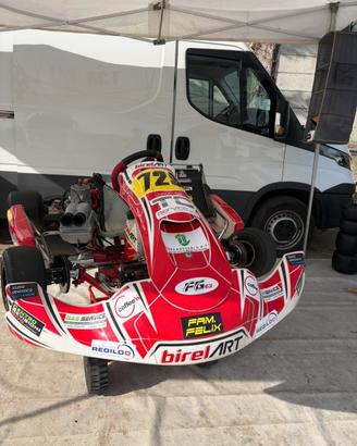 kart completo birel s16 tm kz10c