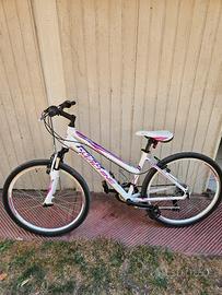 Bici ragazza mtb rock machine 