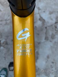 Bici da corsa