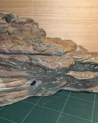 Isola per tartarughe d'acqua