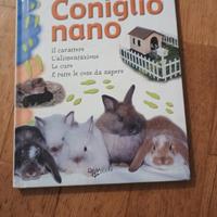 Il mio coniglio nano tutte le cose da sapere 