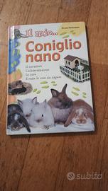 Il mio coniglio nano tutte le cose da sapere 