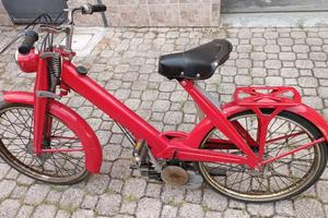 Mosquito Paperino I.M.N. 38cc