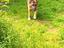 Immagine 6