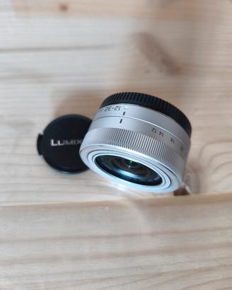Panasonic Lumix 12-32mm F3.5 Micro 4/3

perfetto!