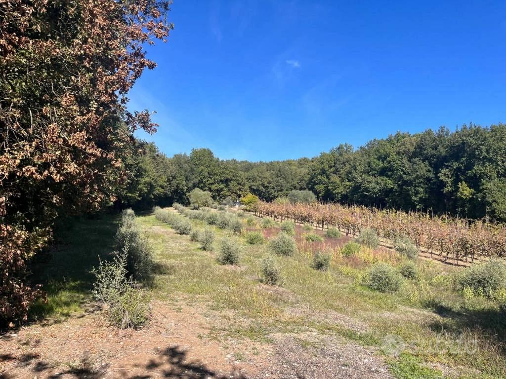 Immobile in asta di 684931 m² a Francolise - Vista 3