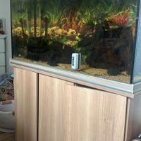  acquario completo con mobiletto e filtro