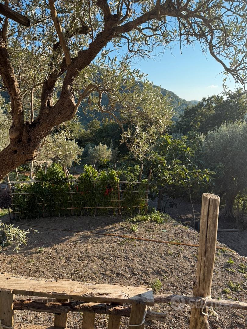 Casa indipendente da ristrutturare con terreno - Altro