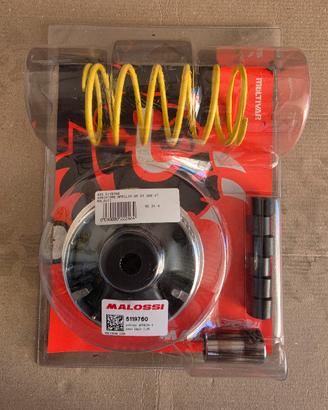 Variatore malossi  Aprilia SR GT