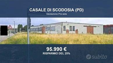 Immobile in asta di 999 m² a Casale di Scodosia