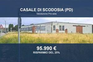 Immobile in asta di 999 m² a Casale di Scodosia