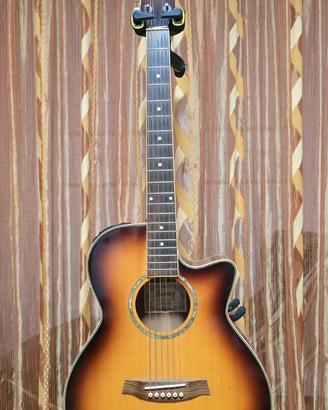 Ibanez AEG10