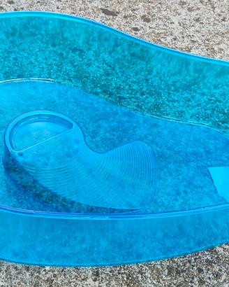 Acquario per tartarughe 