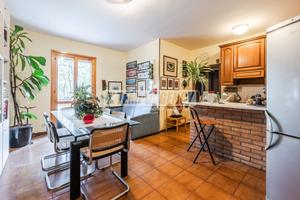APPARTAMENTO AL PIANO TERRA CON TERRAZZO