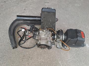 motore rotax max 125 cc monomarcia 